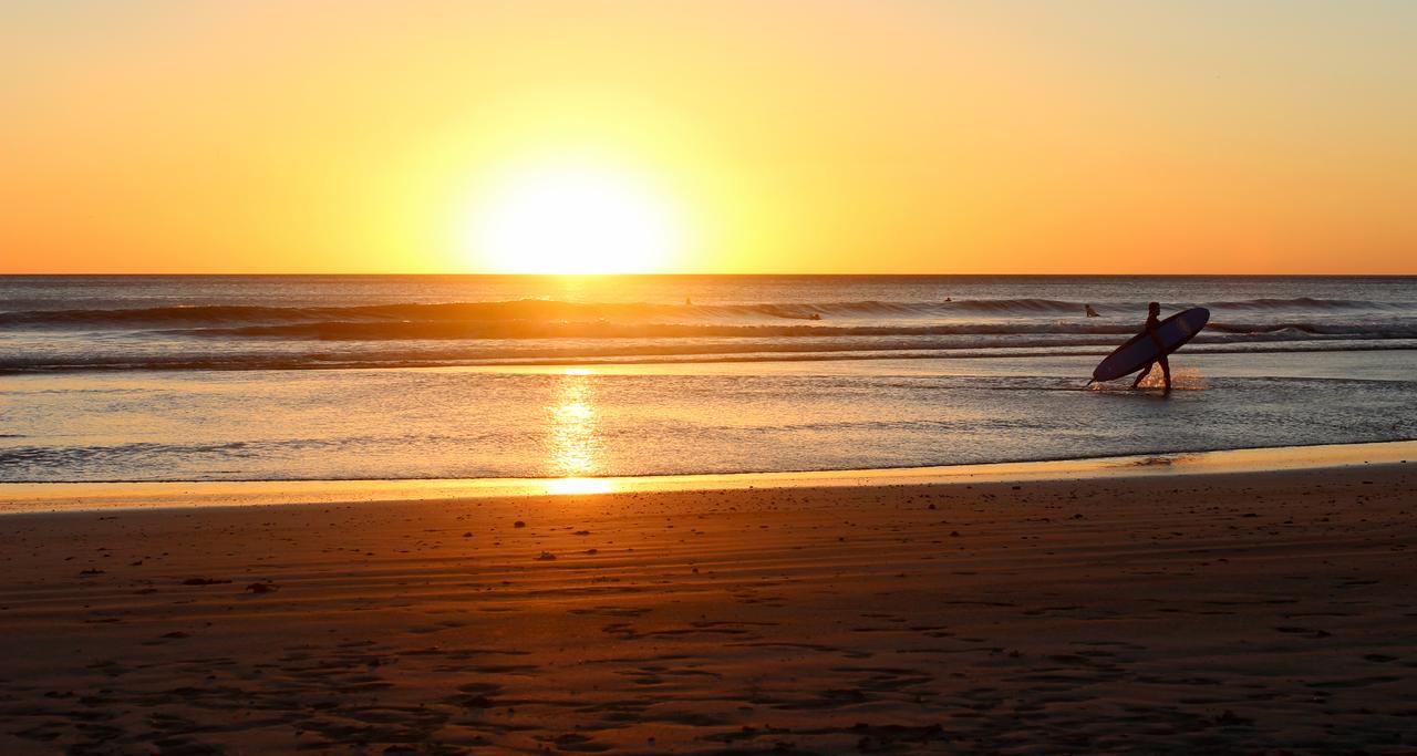 Sea La Vie Covelong Beach Resort Kelambākkam Dış mekan fotoğraf